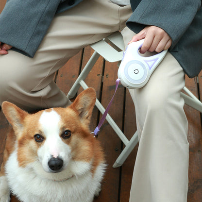 Dog Leash Retractable Leash And Dog Collar Spotlight Automatic Pet Dog Cat Traction Rope For Small Medium Dogs Pet Product - Thriver Trend